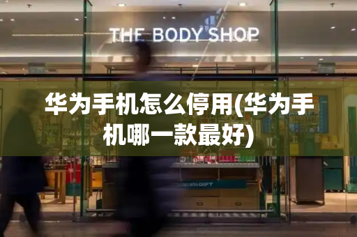 华为手机怎么停用(华为手机哪一款最好)