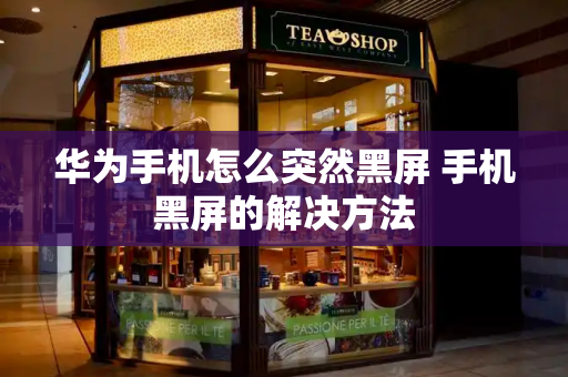 华为手机怎么突然黑屏 手机黑屏的解决方法-第1张图片-星选测评