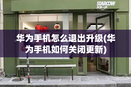 华为手机怎么退出升级(华为手机如何关闭更新)-第1张图片-星选测评