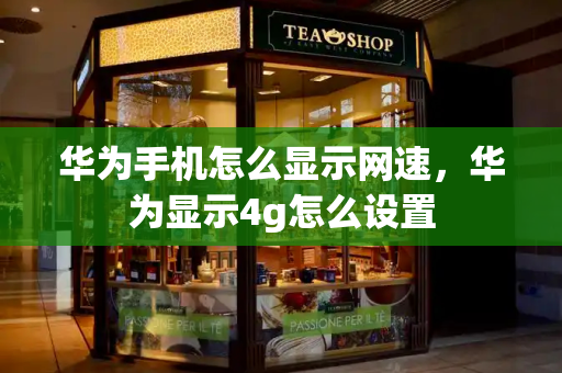 华为手机怎么显示网速，华为显示4g怎么设置-第1张图片-星选测评