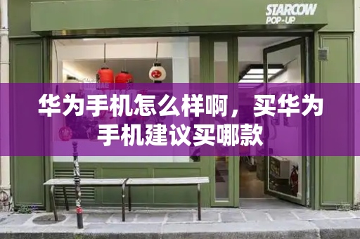 华为手机怎么样啊，买华为手机建议买哪款-第1张图片-星选测评