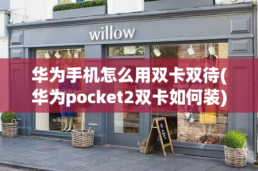 华为手机怎么用双卡双待(华为pocket2双卡如何装)-第1张图片-星选测评