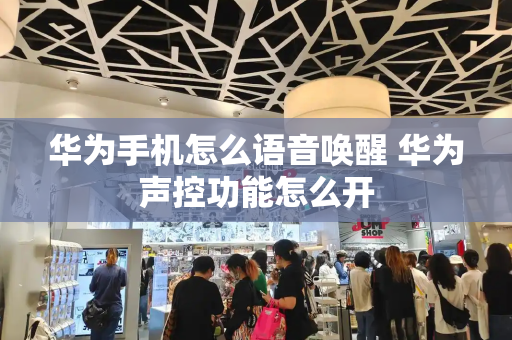 华为手机怎么语音唤醒 华为声控功能怎么开-第1张图片-星选测评