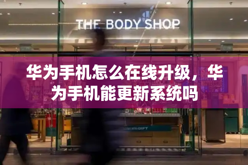 华为手机怎么在线升级，华为手机能更新系统吗