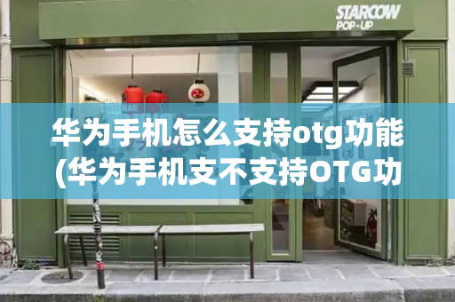 华为手机怎么支持otg功能(华为手机支不支持OTG功能)-第1张图片-星选测评