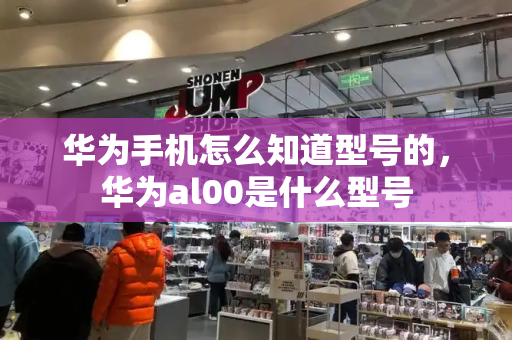 华为手机怎么知道型号的，华为al00是什么型号-第1张图片-星选测评