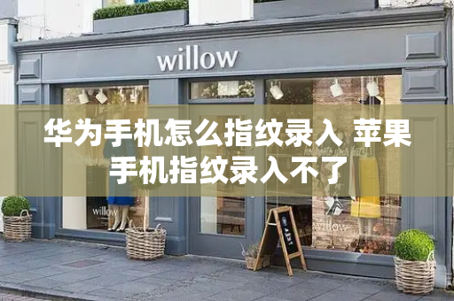华为手机怎么指纹录入 苹果手机指纹录入不了